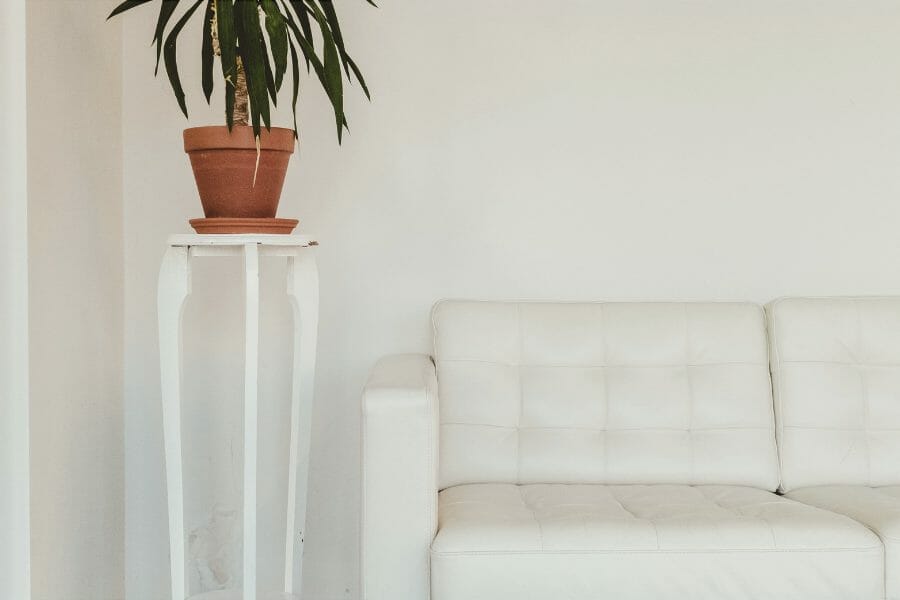 waiting room with white couch and indoor plant