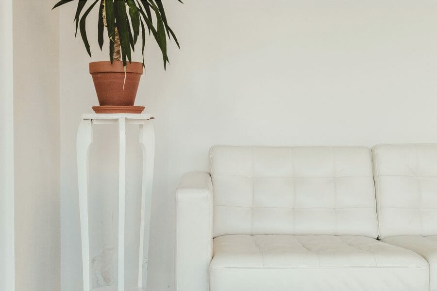 waiting room with white couch and indoor plant