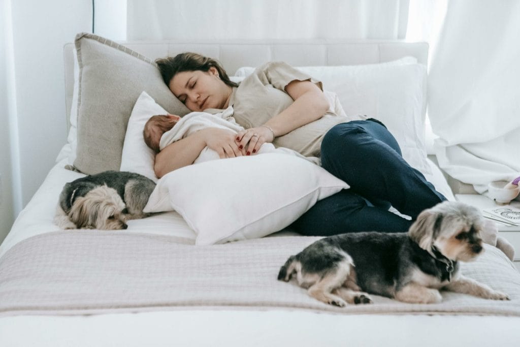 mom lying on bed with newborn and two dogs exhausted